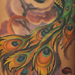 Tattoos - Peacock - 52965